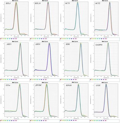 Identification and Validation of Reference Genes for Quantitative Gene Expression Analysis in Ophraella communa